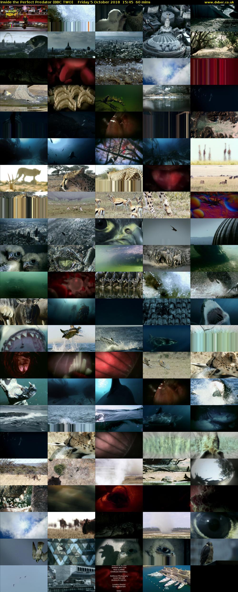 Inside the Perfect Predator (BBC TWO) Friday 5 October 2018 15:45 - 16:45