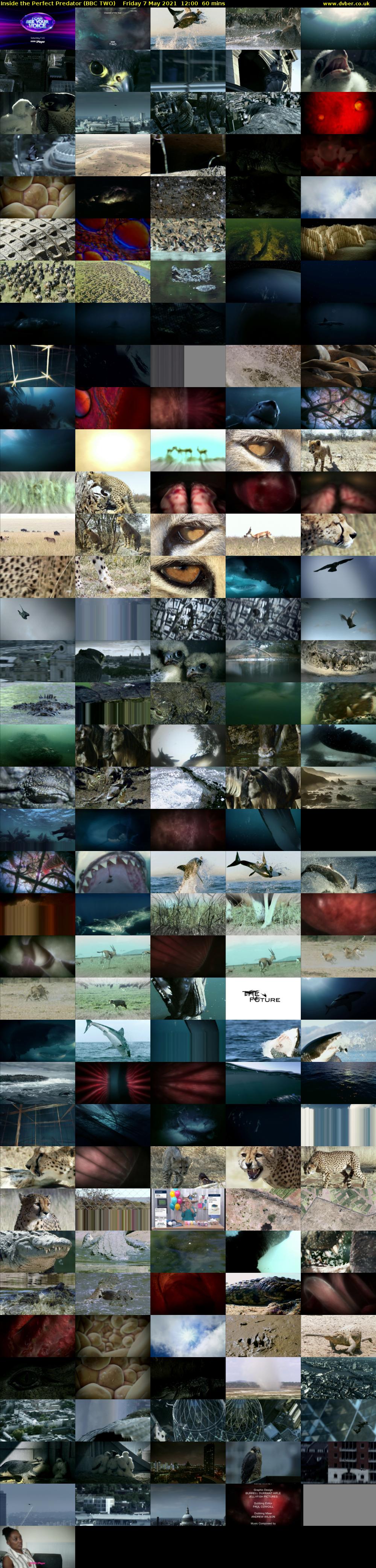 Inside the Perfect Predator (BBC TWO) Friday 7 May 2021 12:00 - 13:00