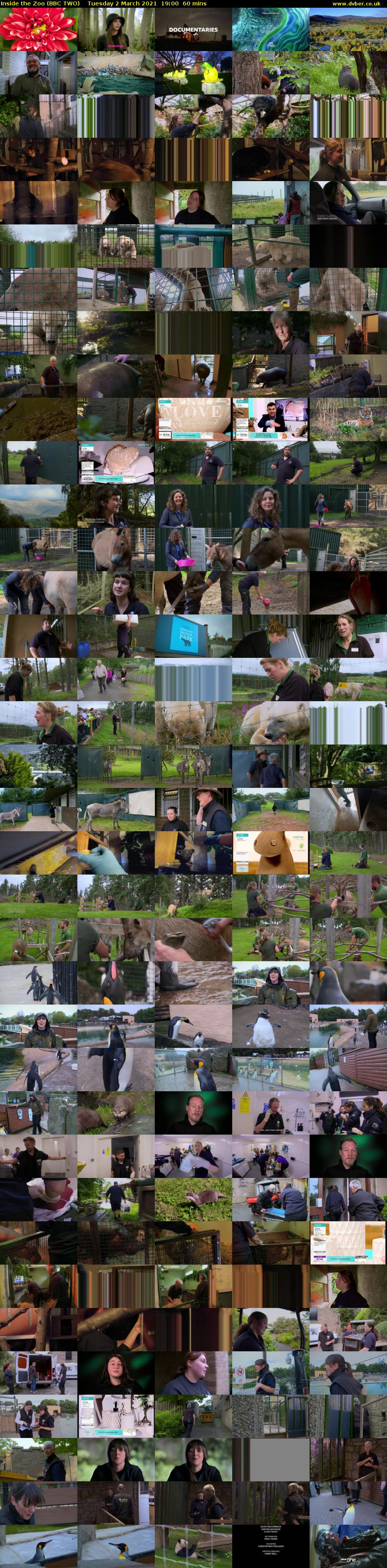 Inside the Zoo (BBC TWO) Tuesday 2 March 2021 19:00 - 20:00