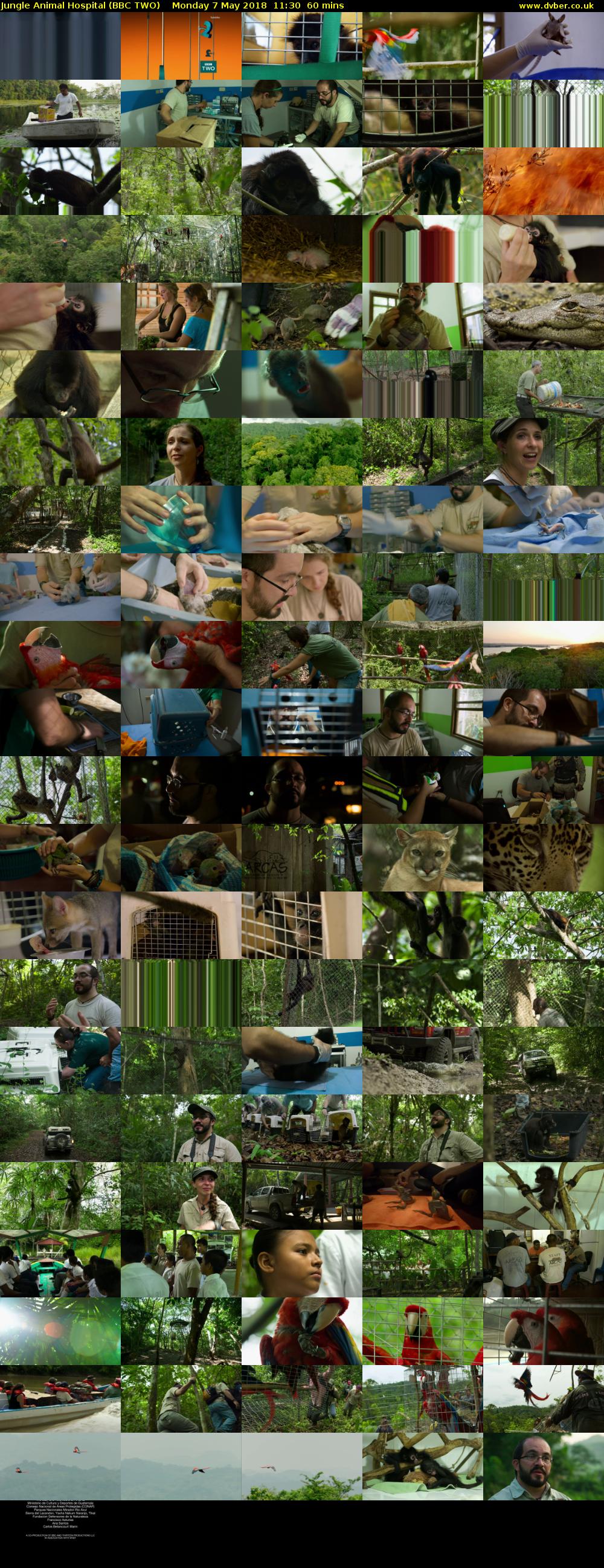 Jungle Animal Hospital (BBC TWO) Monday 7 May 2018 11:30 - 12:30