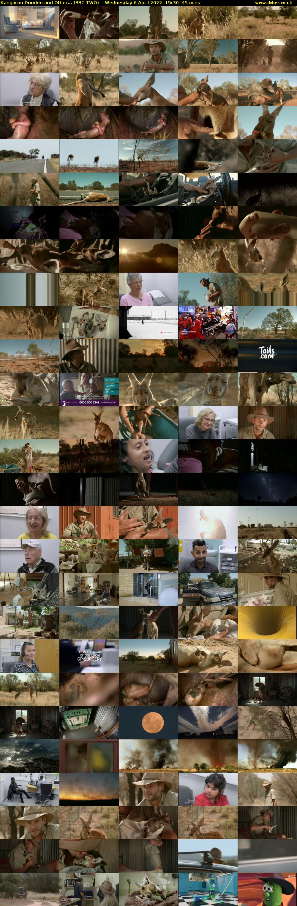 Kangaroo Dundee and Other... (BBC TWO) Wednesday 6 April 2022 15:30 - 16:15