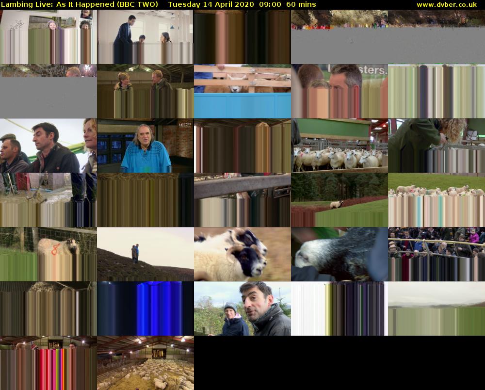 Lambing Live: As It Happened (BBC TWO) Tuesday 14 April 2020 09:00 - 10:00