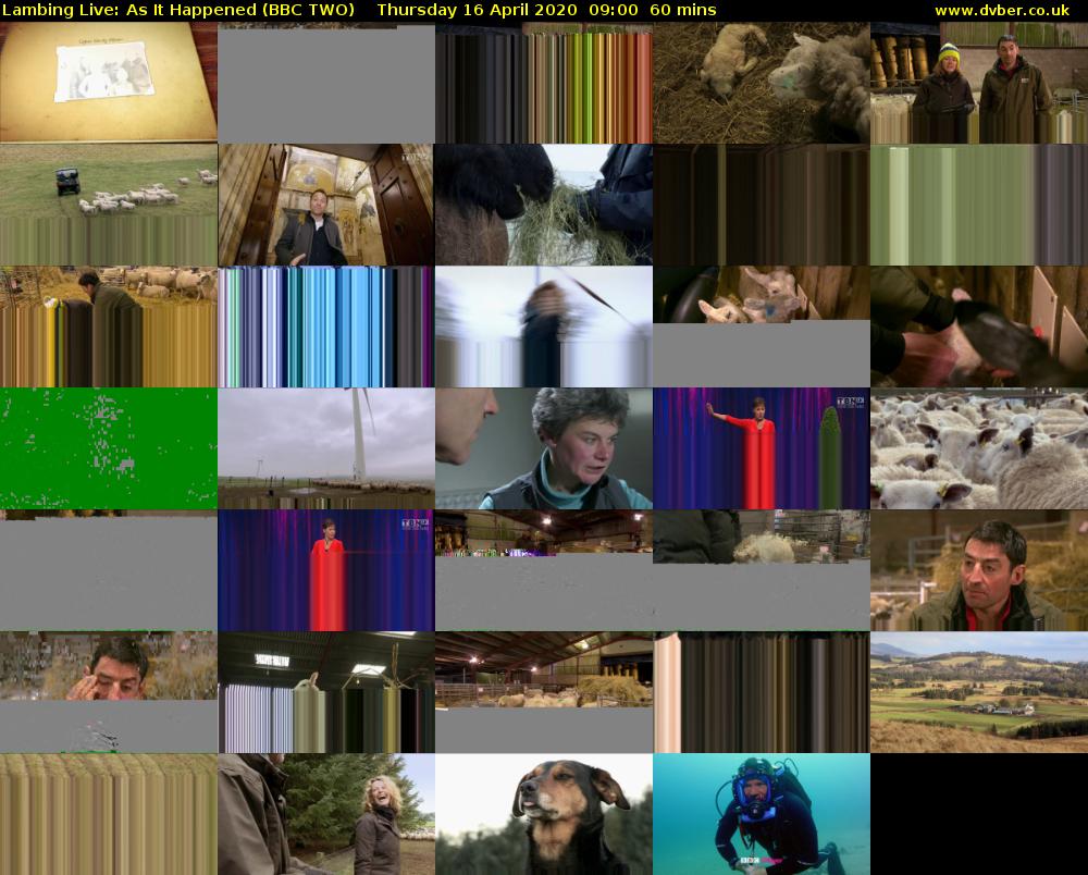 Lambing Live: As It Happened (BBC TWO) Thursday 16 April 2020 09:00 - 10:00