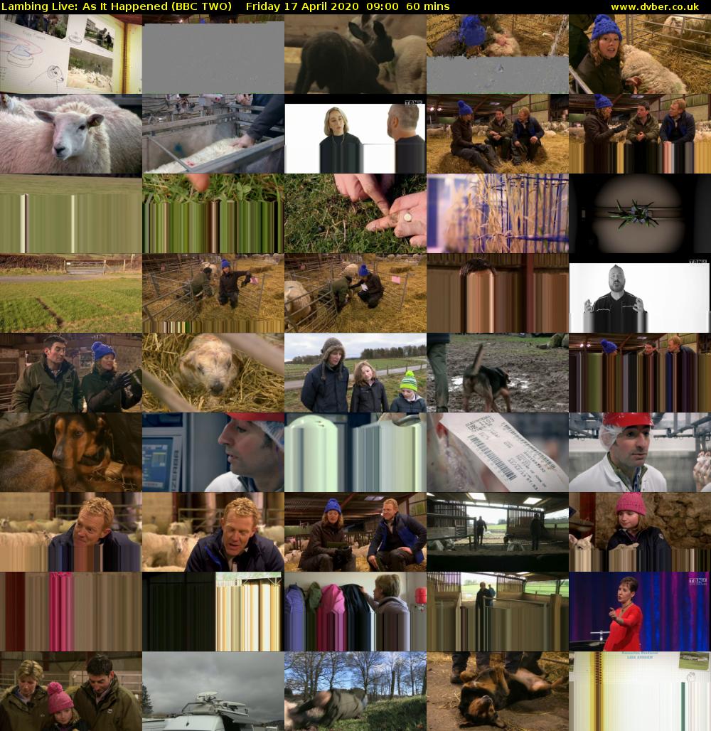 Lambing Live: As It Happened (BBC TWO) Friday 17 April 2020 09:00 - 10:00