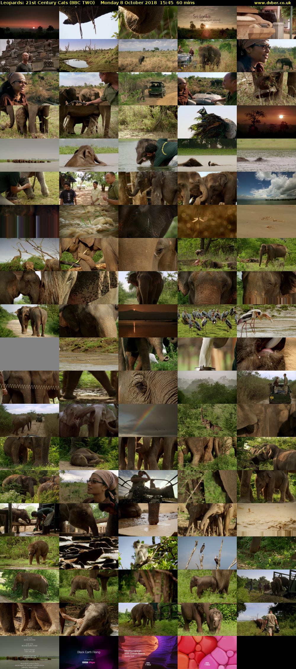 Leopards: 21st Century Cats (BBC TWO) Monday 8 October 2018 15:45 - 16:45