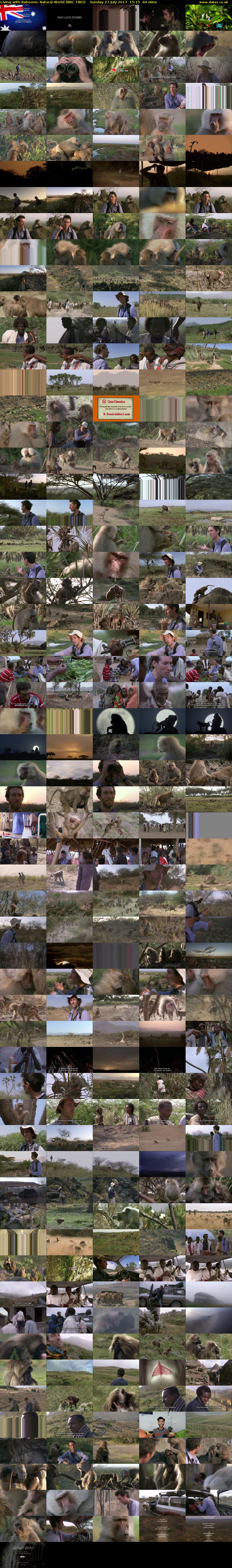 Living with Baboons: Natural World (BBC TWO) Sunday 23 July 2017 15:15 - 16:15
