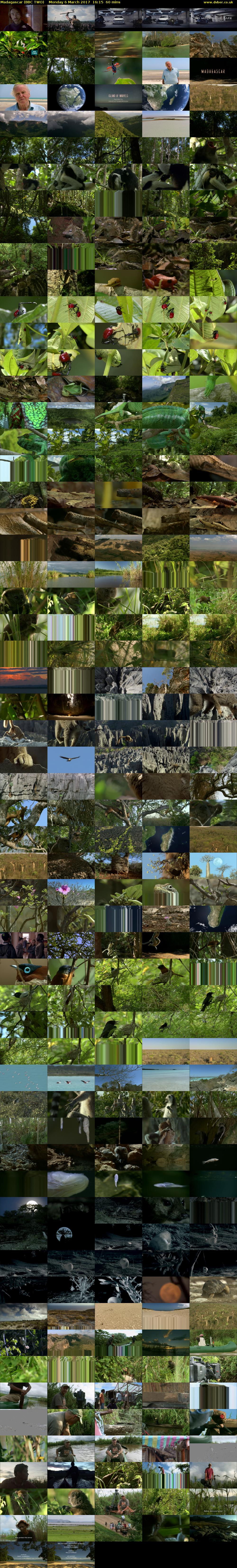 Madagascar (BBC TWO) Monday 6 March 2017 16:15 - 17:15