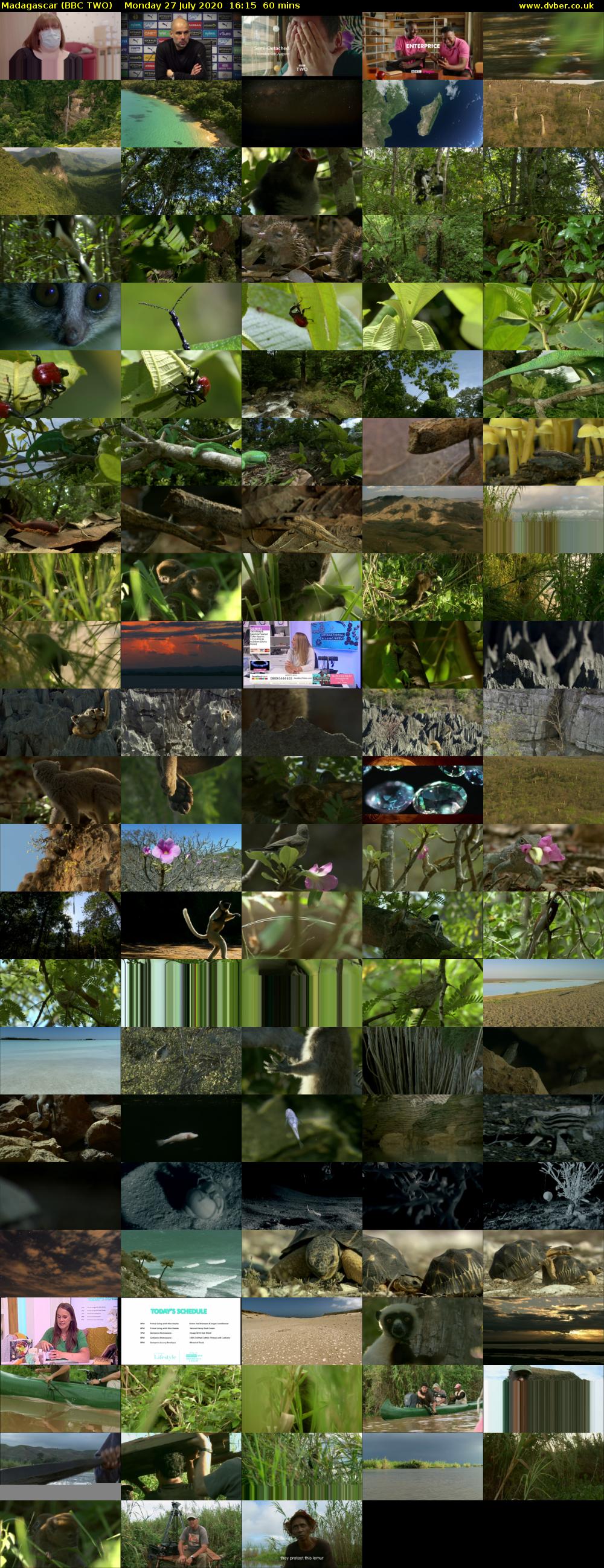 Madagascar (BBC TWO) Monday 27 July 2020 16:15 - 17:15