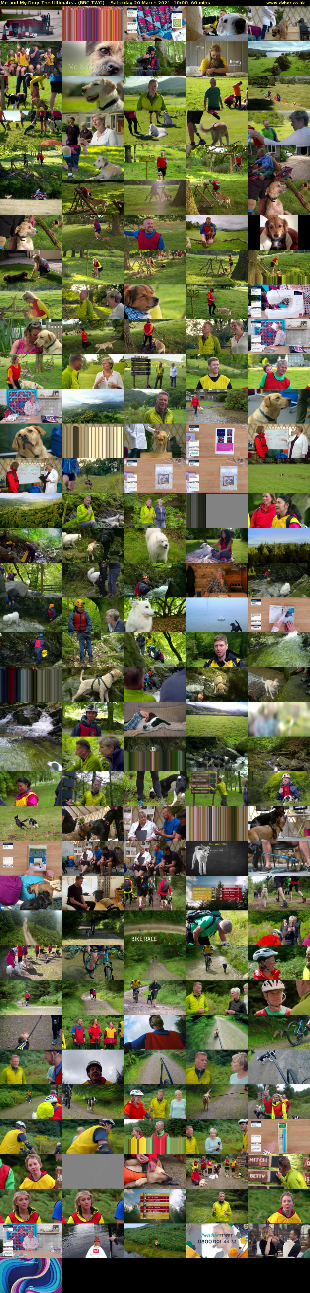 Me and My Dog: The Ultimate... (BBC TWO) Saturday 20 March 2021 10:00 - 11:00