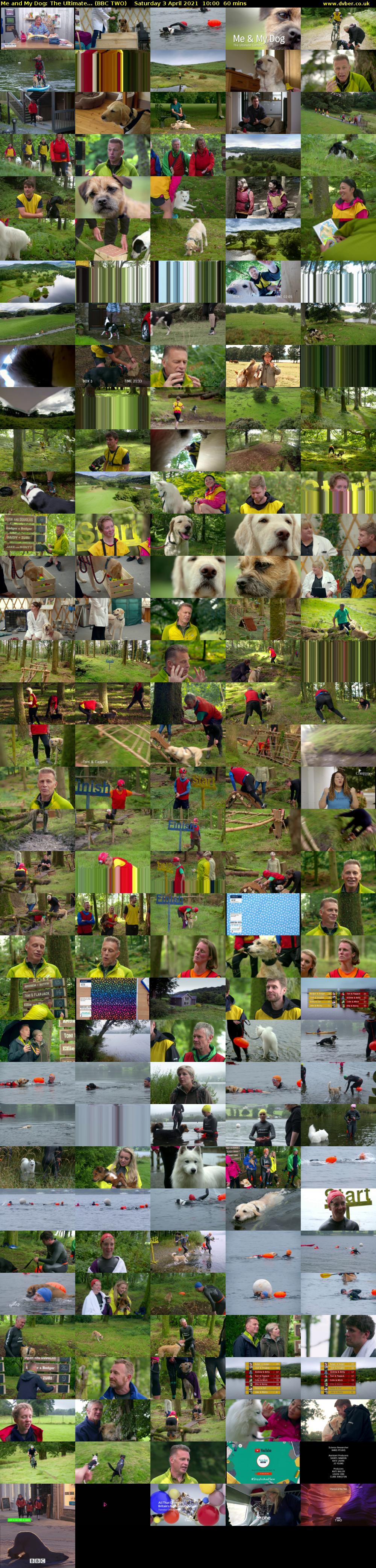 Me and My Dog: The Ultimate... (BBC TWO) Saturday 3 April 2021 10:00 - 11:00