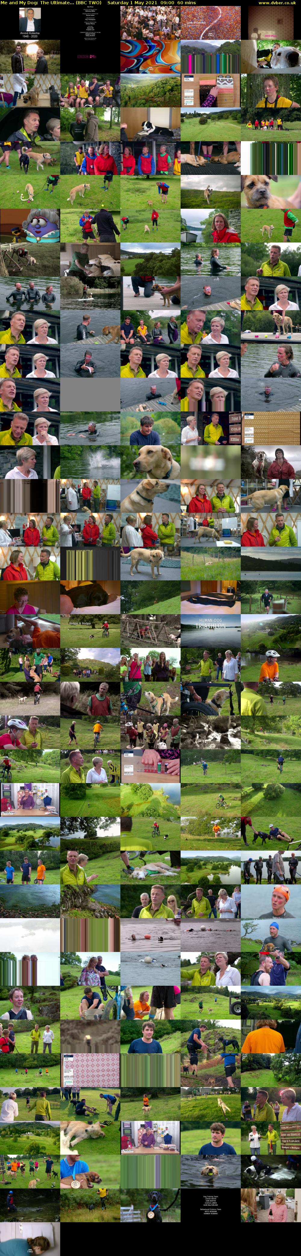 Me and My Dog: The Ultimate... (BBC TWO) Saturday 1 May 2021 09:00 - 10:00