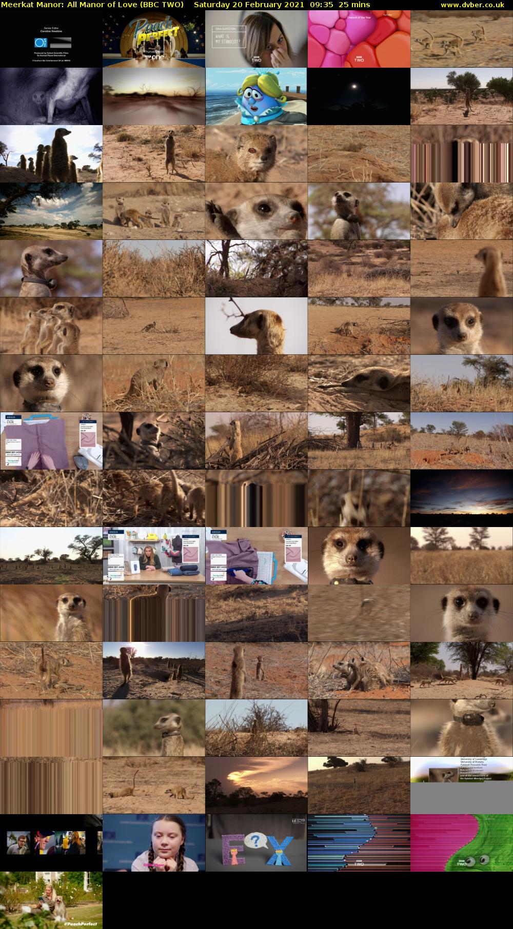 Meerkat Manor: All Manor of Love (BBC TWO) Saturday 20 February 2021 09:35 - 10:00