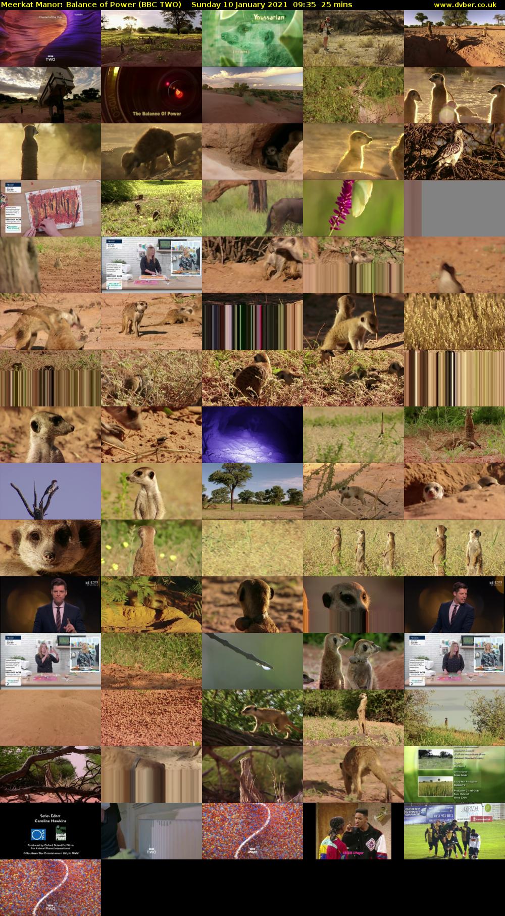 Meerkat Manor: Balance of Power (BBC TWO) Sunday 10 January 2021 09:35 - 10:00