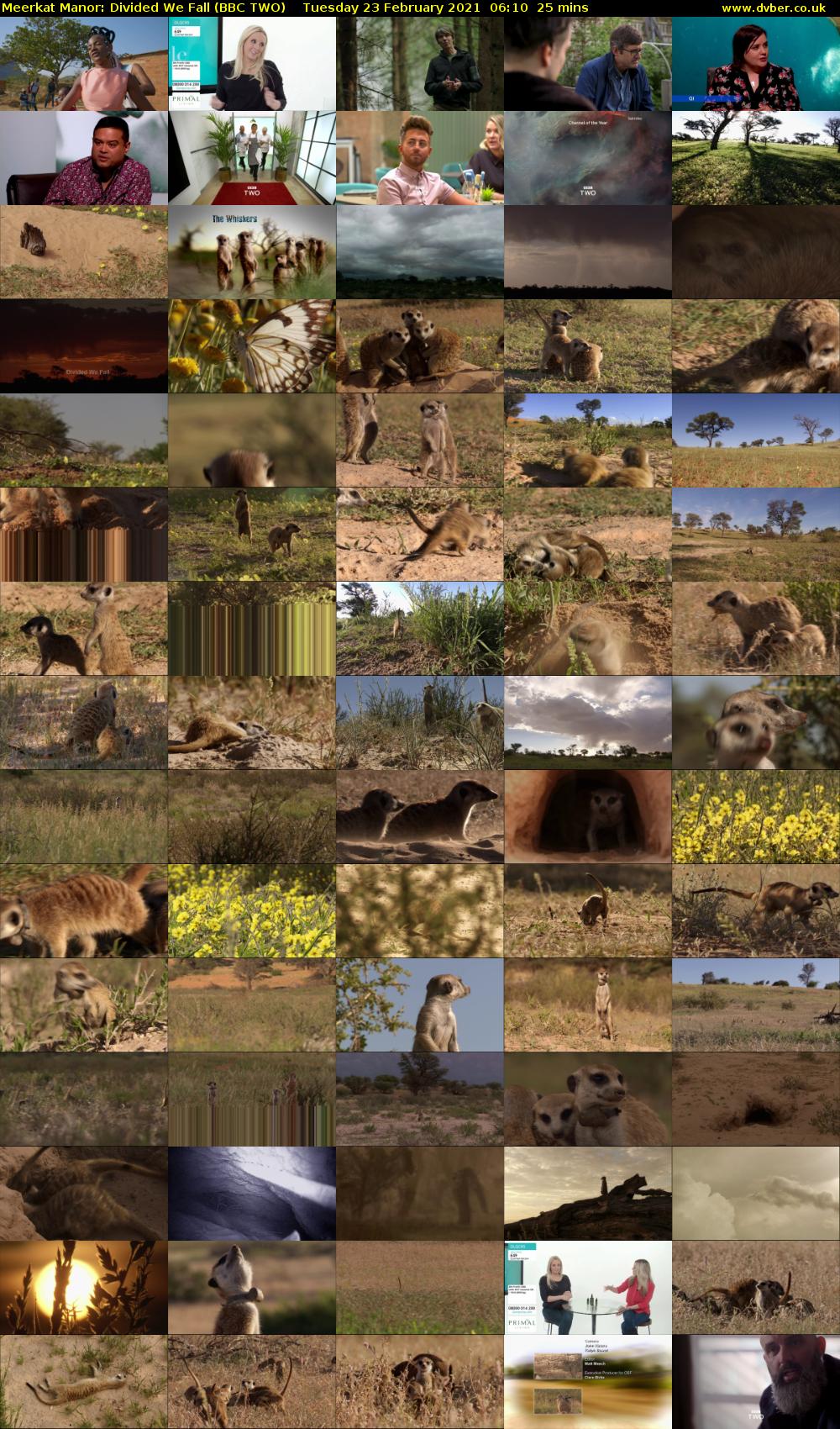 Meerkat Manor: Divided We Fall (BBC TWO) Tuesday 23 February 2021 06:10 - 06:35