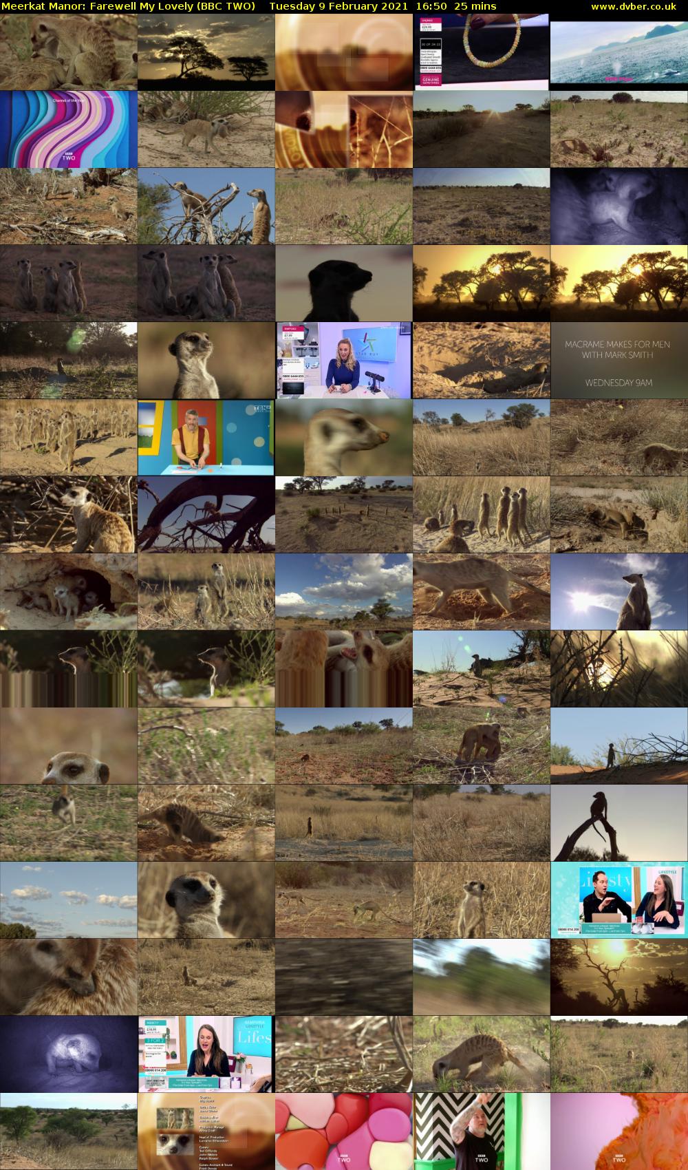 Meerkat Manor: Farewell My Lovely (BBC TWO) Tuesday 9 February 2021 16:50 - 17:15