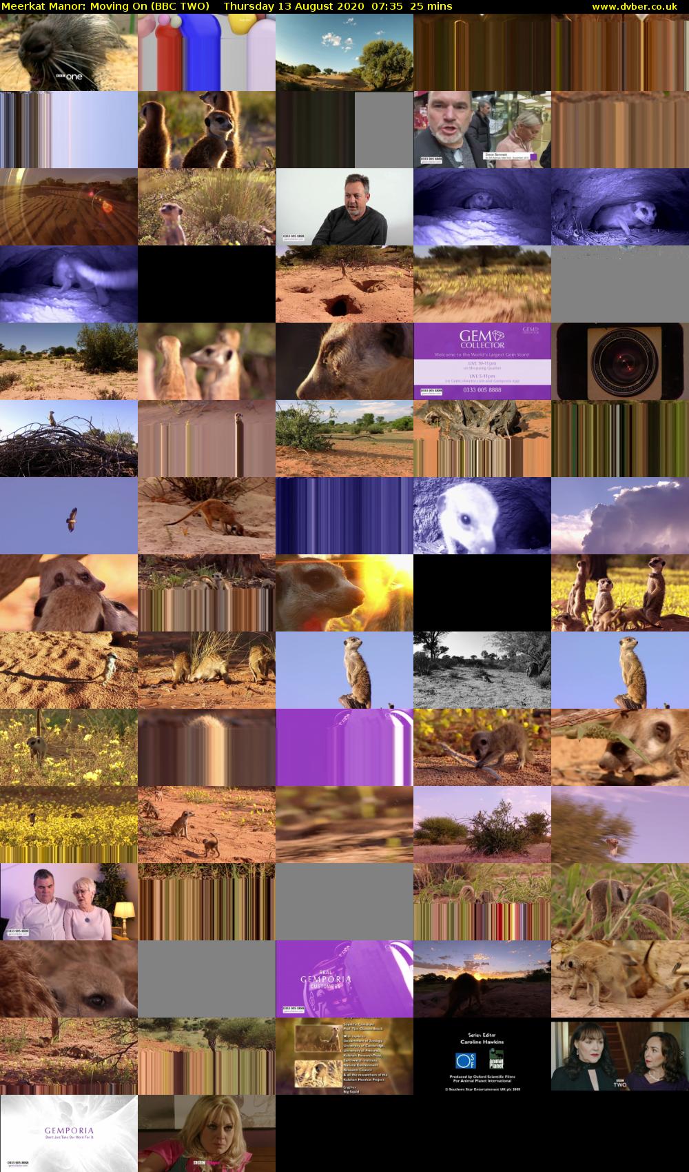 Meerkat Manor: Moving On (BBC TWO) Thursday 13 August 2020 07:35 - 08:00