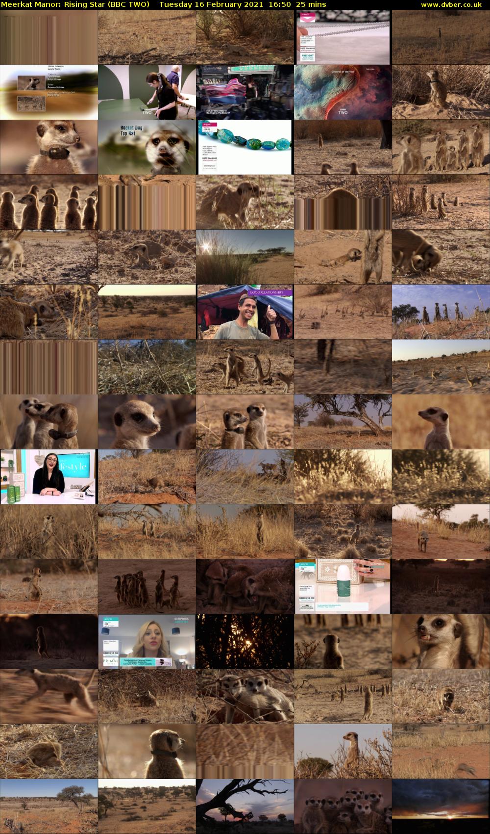 Meerkat Manor: Rising Star (BBC TWO) Tuesday 16 February 2021 16:50 - 17:15