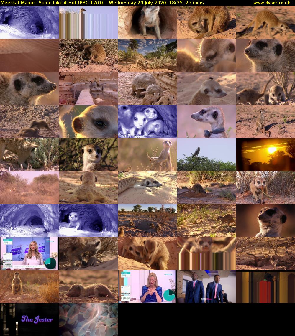 Meerkat Manor: Some Like it Hot (BBC TWO) Wednesday 29 July 2020 18:35 - 19:00