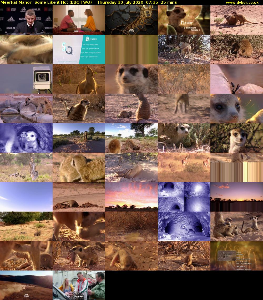 Meerkat Manor: Some Like it Hot (BBC TWO) Thursday 30 July 2020 07:35 - 08:00