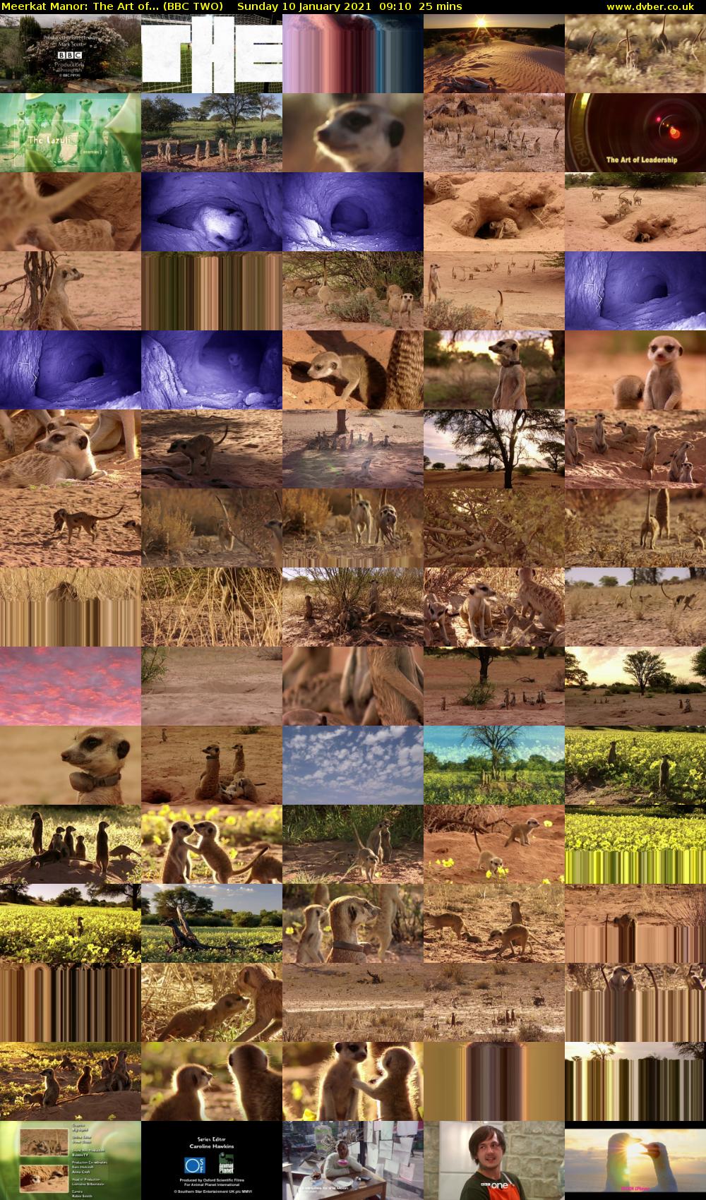Meerkat Manor: The Art of... (BBC TWO) Sunday 10 January 2021 09:10 - 09:35