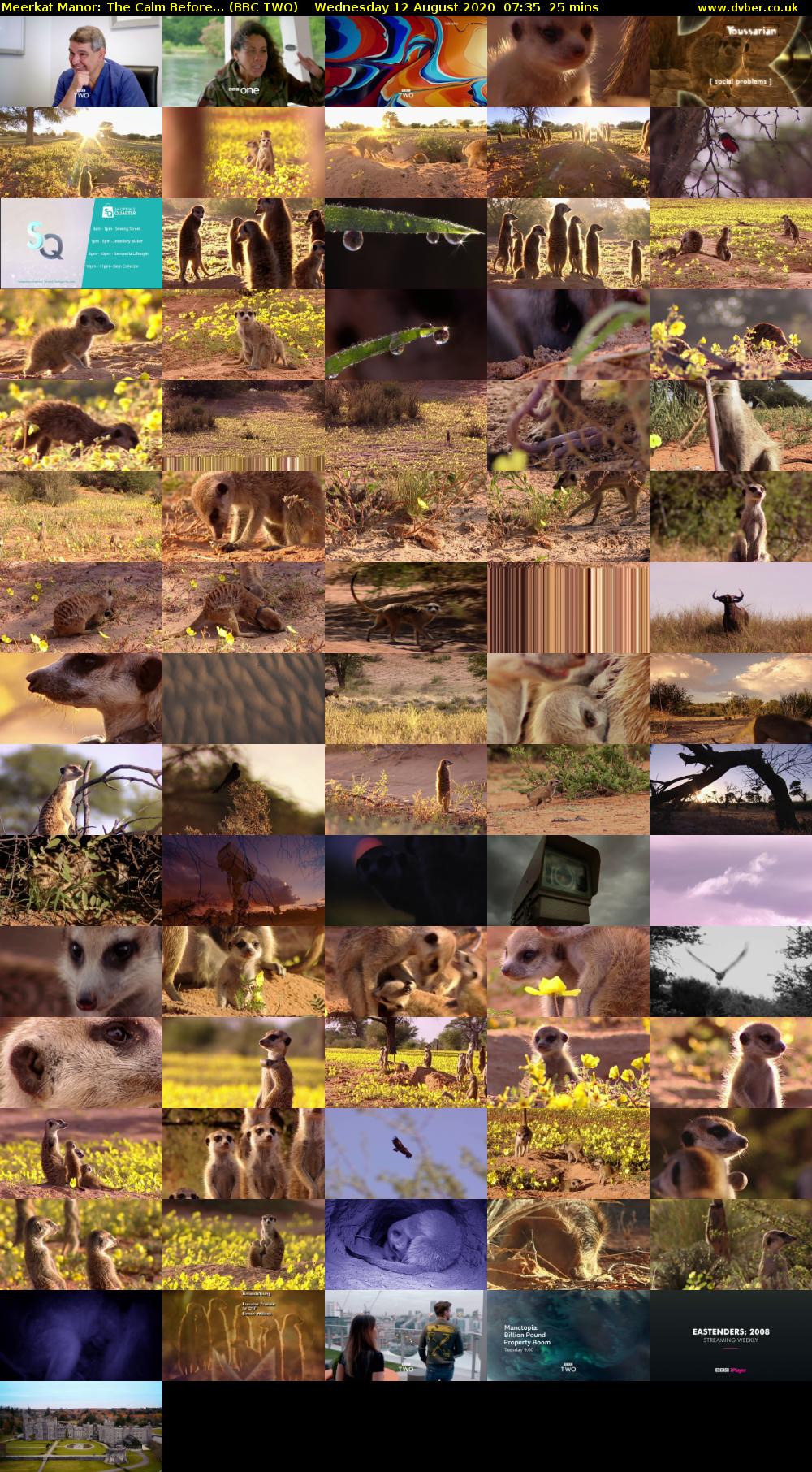 Meerkat Manor: The Calm Before... (BBC TWO) Wednesday 12 August 2020 07:35 - 08:00