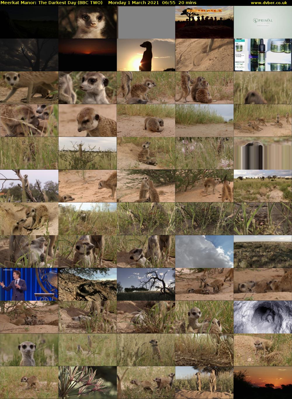 Meerkat Manor: The Darkest Day (BBC TWO) Monday 1 March 2021 06:55 - 07:15