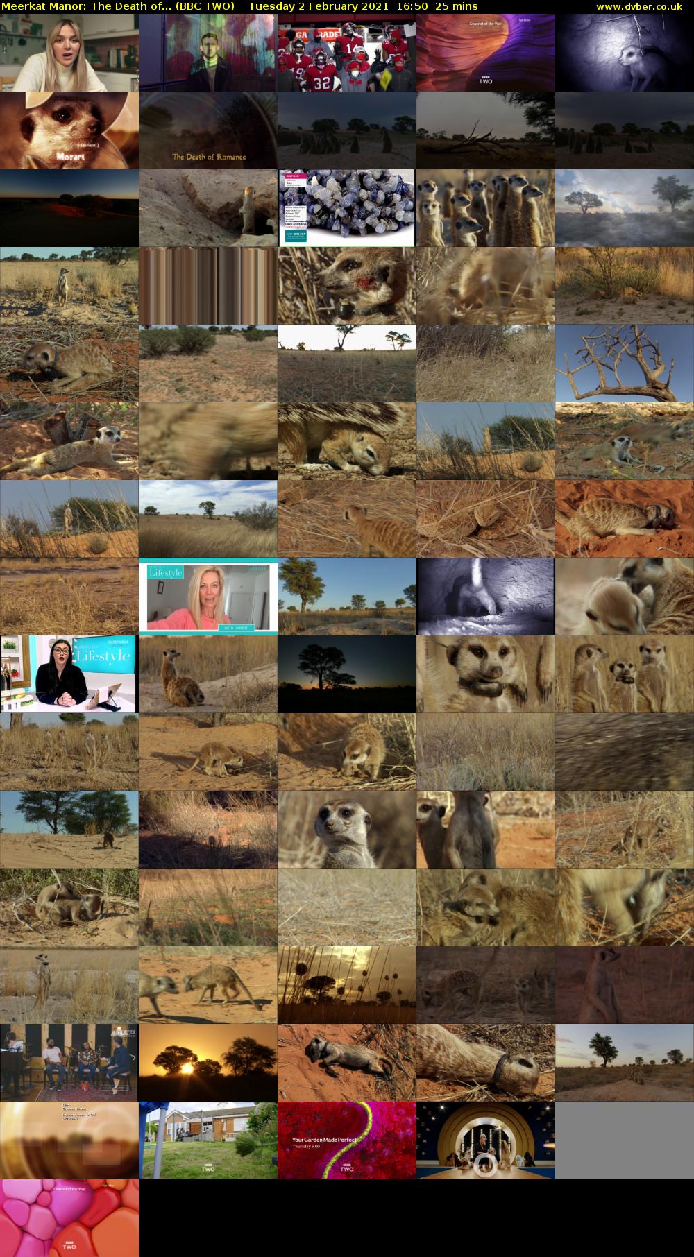 Meerkat Manor: The Death of... (BBC TWO) Tuesday 2 February 2021 16:50 - 17:15