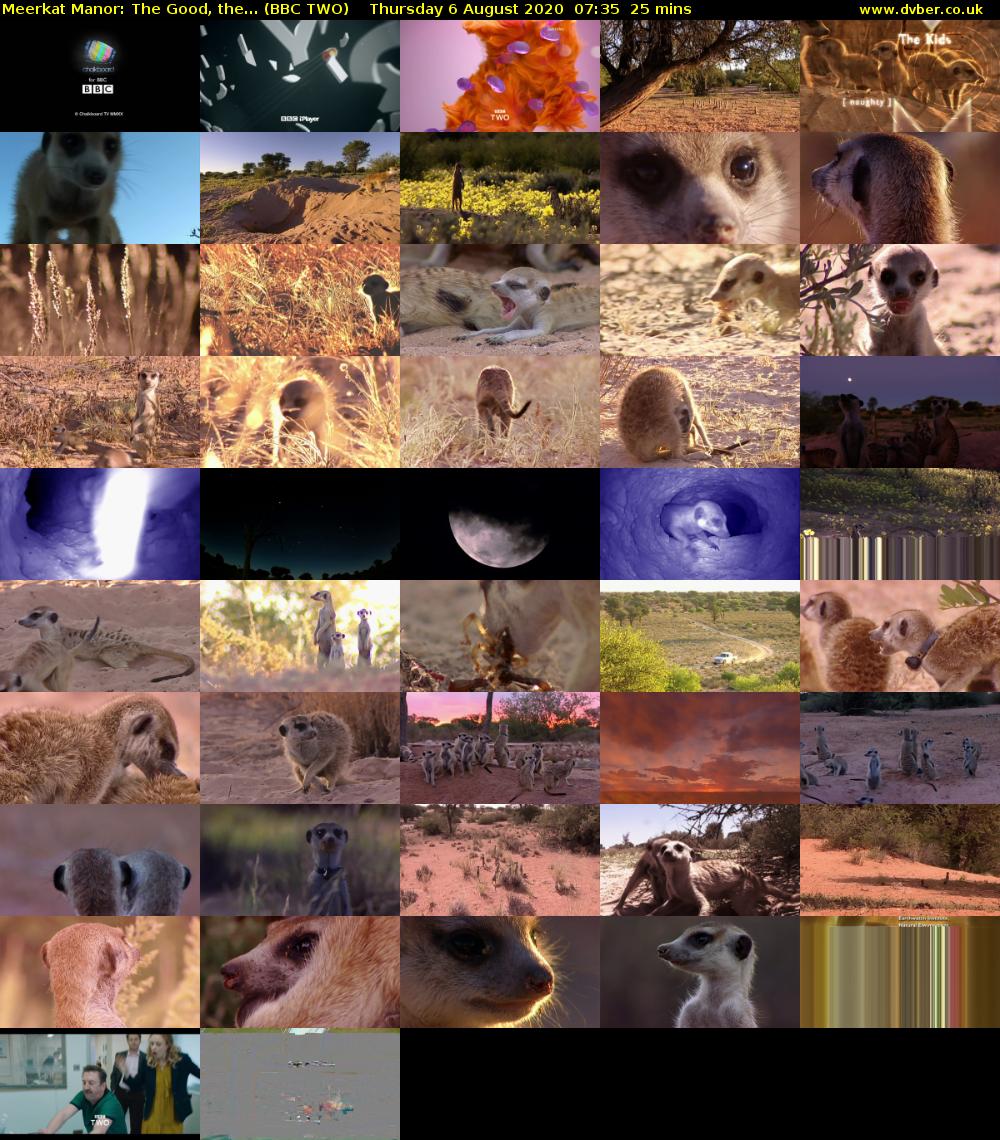 Meerkat Manor: The Good, the... (BBC TWO) Thursday 6 August 2020 07:35 - 08:00