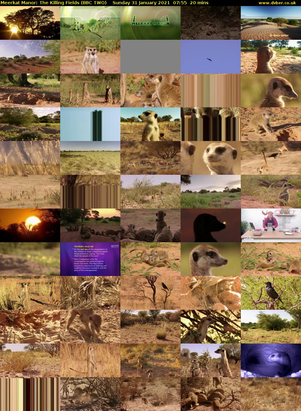 Meerkat Manor: The Killing Fields (BBC TWO) Sunday 31 January 2021 07:55 - 08:15