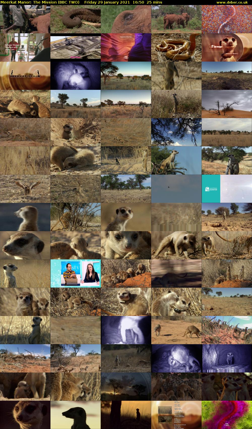 Meerkat Manor: The Mission (BBC TWO) Friday 29 January 2021 16:50 - 17:15