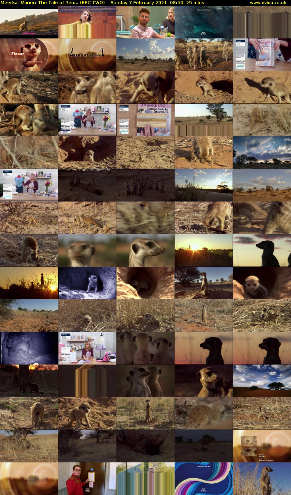 Meerkat Manor: The Tale of Ren... (BBC TWO) Sunday 7 February 2021 08:50 - 09:15