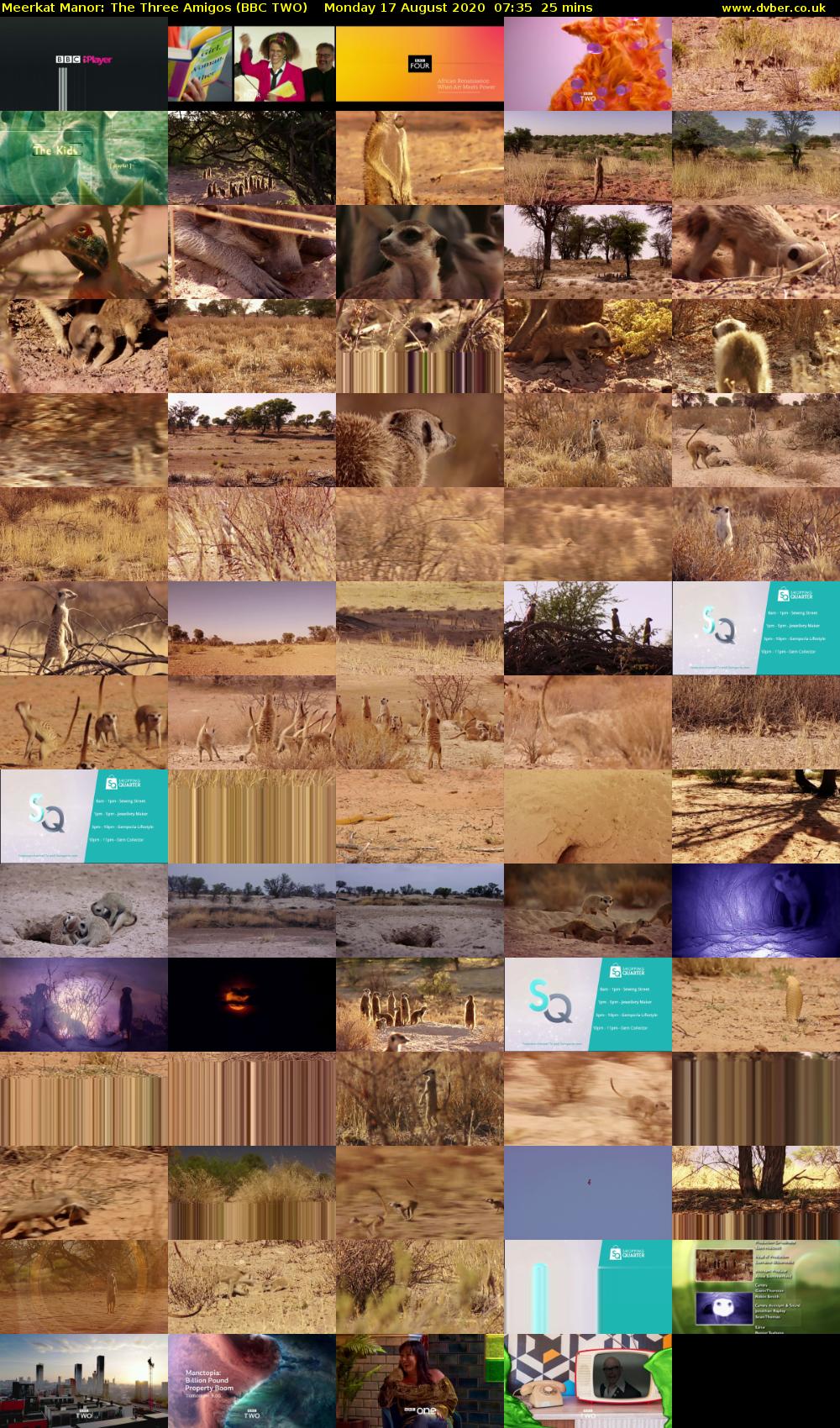 Meerkat Manor: The Three Amigos (BBC TWO) Monday 17 August 2020 07:35 - 08:00