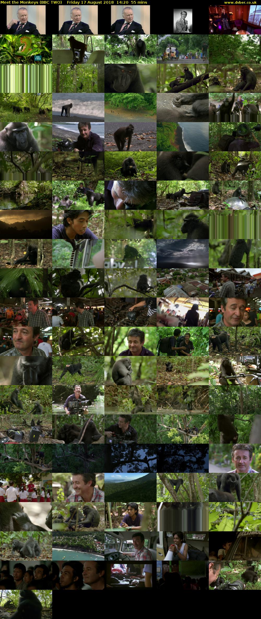 Meet the Monkeys (BBC TWO) Friday 17 August 2018 14:20 - 15:15