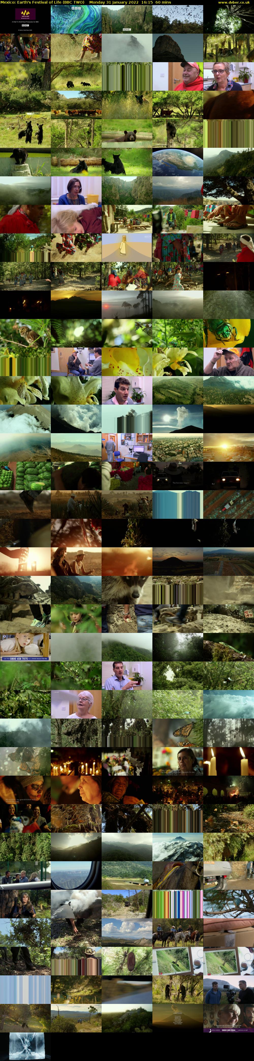 Mexico: Earth's Festival of Life (BBC TWO) Monday 31 January 2022 16:15 - 17:15