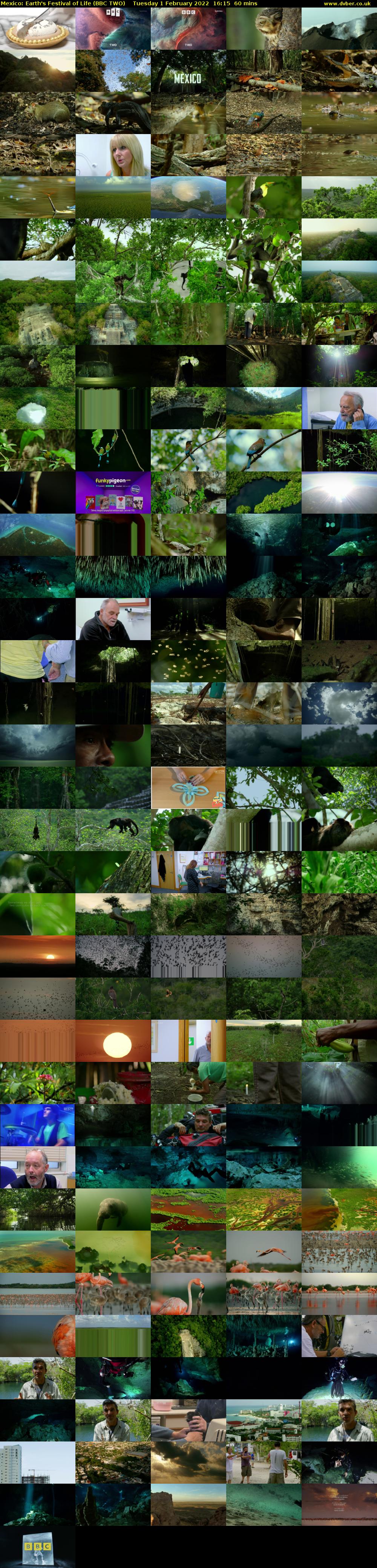 Mexico: Earth's Festival of Life (BBC TWO) Tuesday 1 February 2022 16:15 - 17:15
