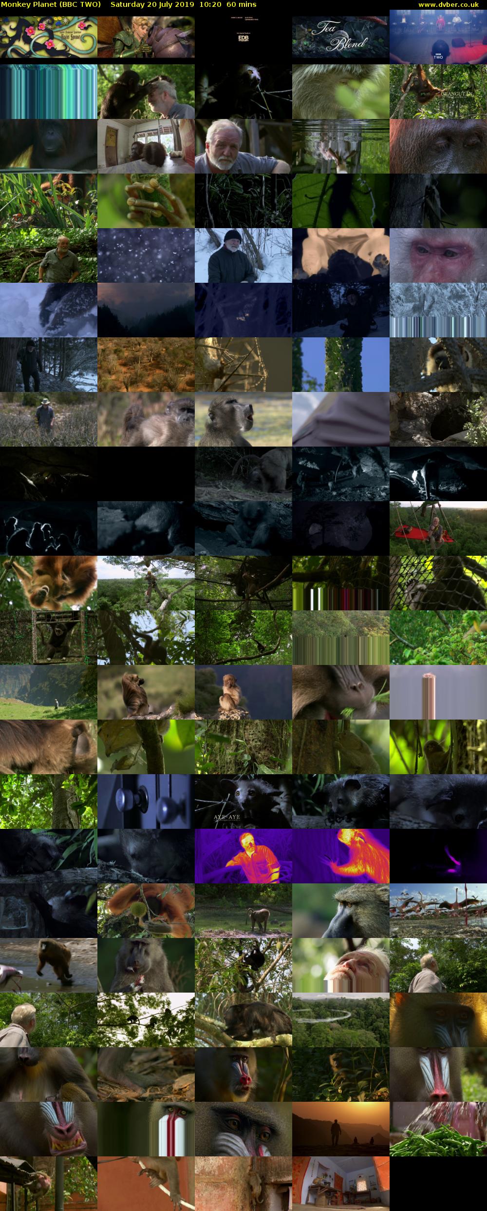 Monkey Planet (BBC TWO) Saturday 20 July 2019 10:20 - 11:20