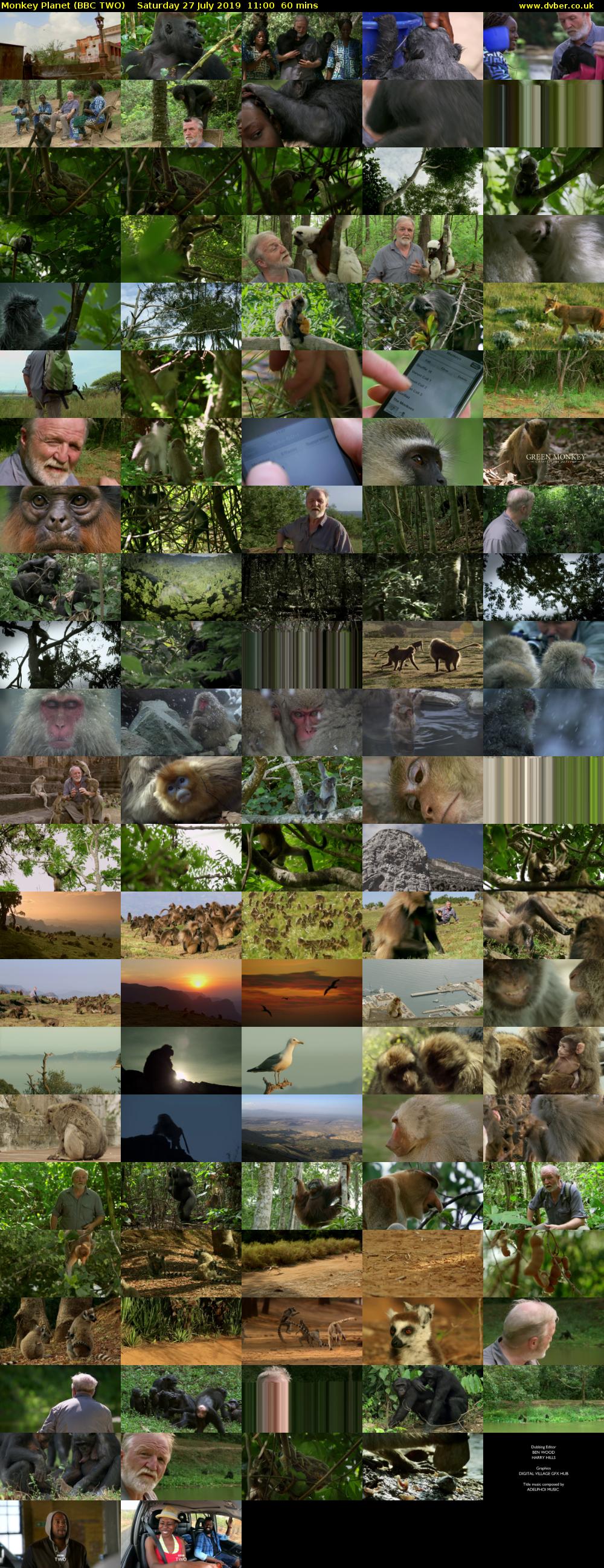 Monkey Planet (BBC TWO) Saturday 27 July 2019 11:00 - 12:00