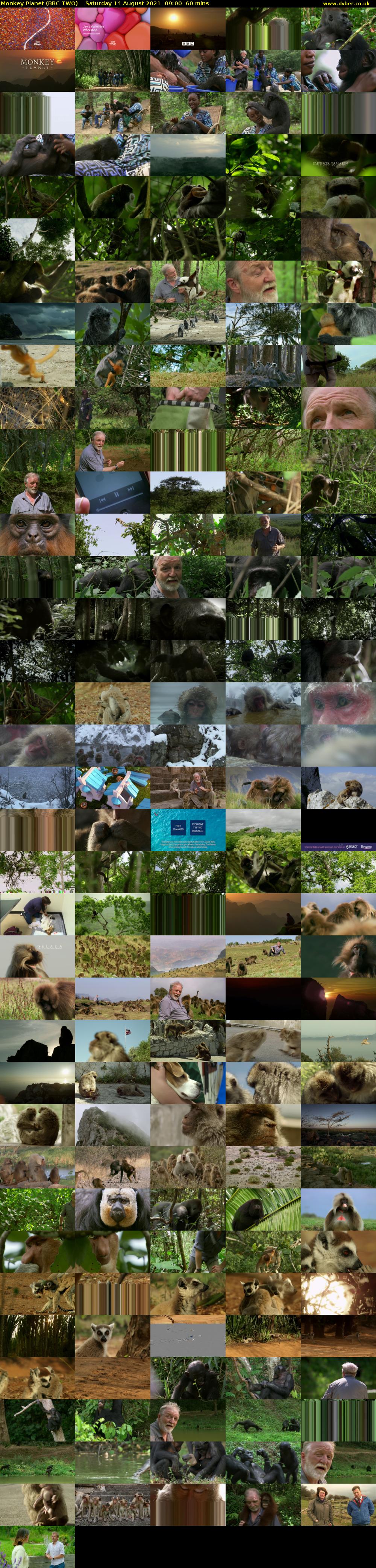 Monkey Planet (BBC TWO) Saturday 14 August 2021 09:00 - 10:00