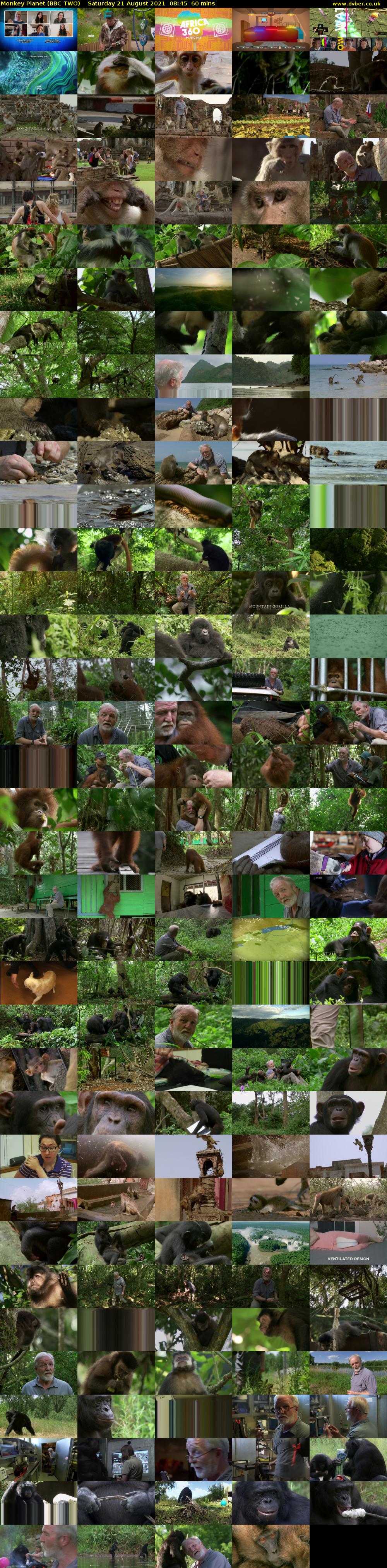 Monkey Planet (BBC TWO) Saturday 21 August 2021 08:45 - 09:45