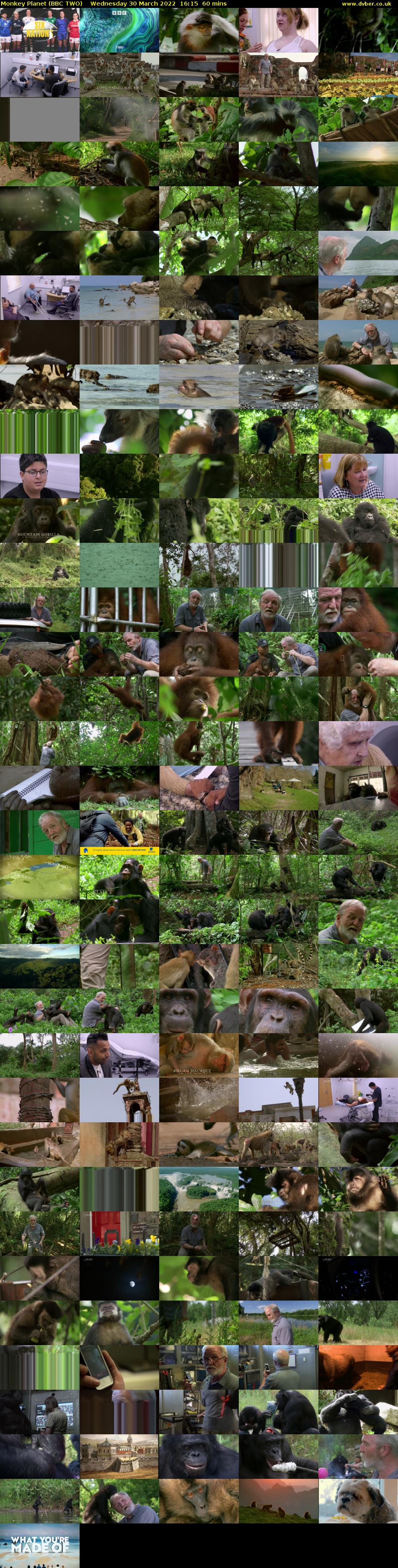 Monkey Planet (BBC TWO) Wednesday 30 March 2022 16:15 - 17:15