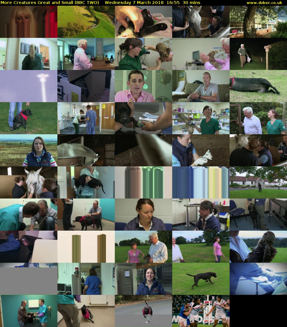 More Creatures Great and Small (BBC TWO) Wednesday 7 March 2018 16:55 - 17:25