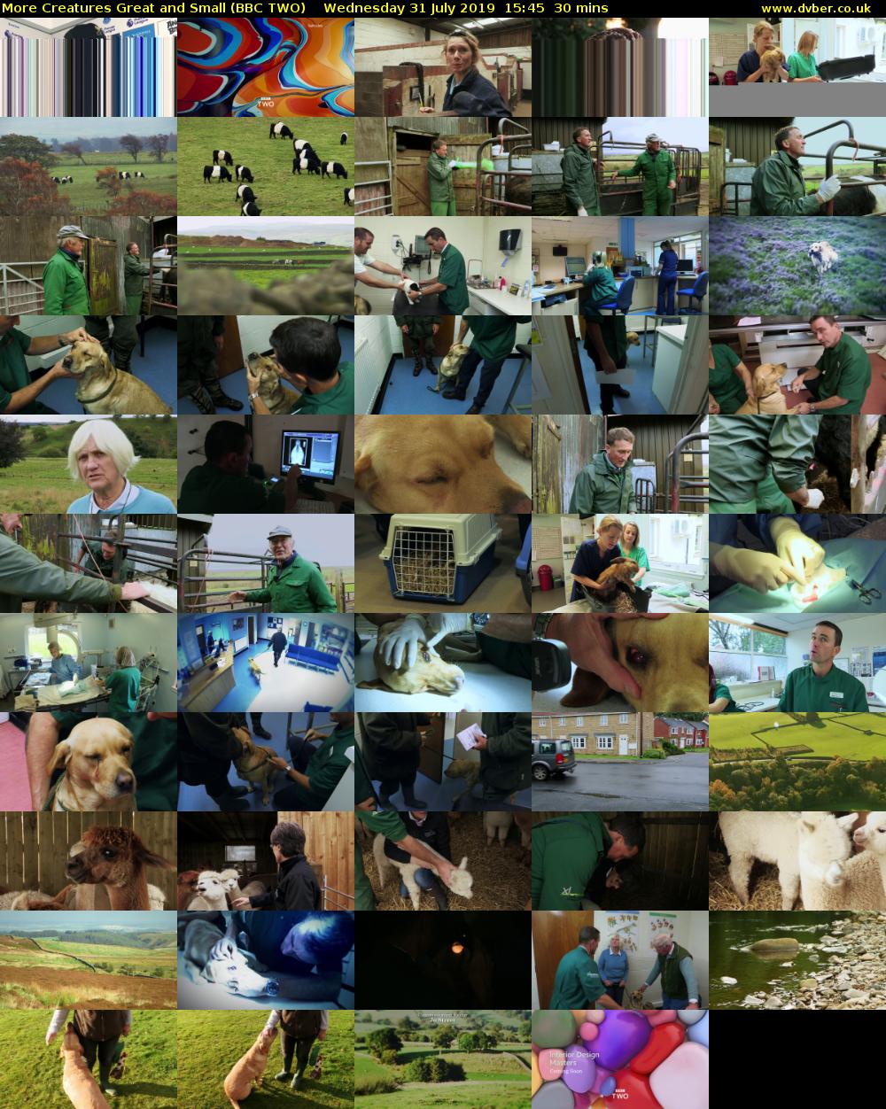 More Creatures Great and Small (BBC TWO) Wednesday 31 July 2019 15:45 - 16:15