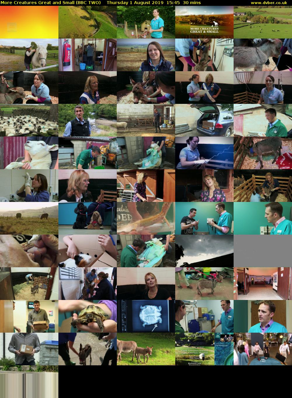 More Creatures Great and Small (BBC TWO) Thursday 1 August 2019 15:45 - 16:15