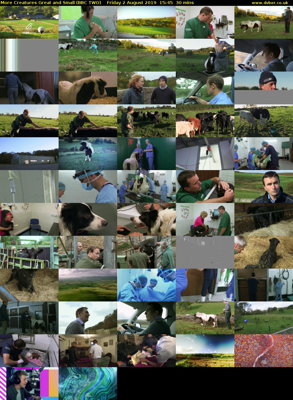 More Creatures Great and Small (BBC TWO) Friday 2 August 2019 15:45 - 16:15