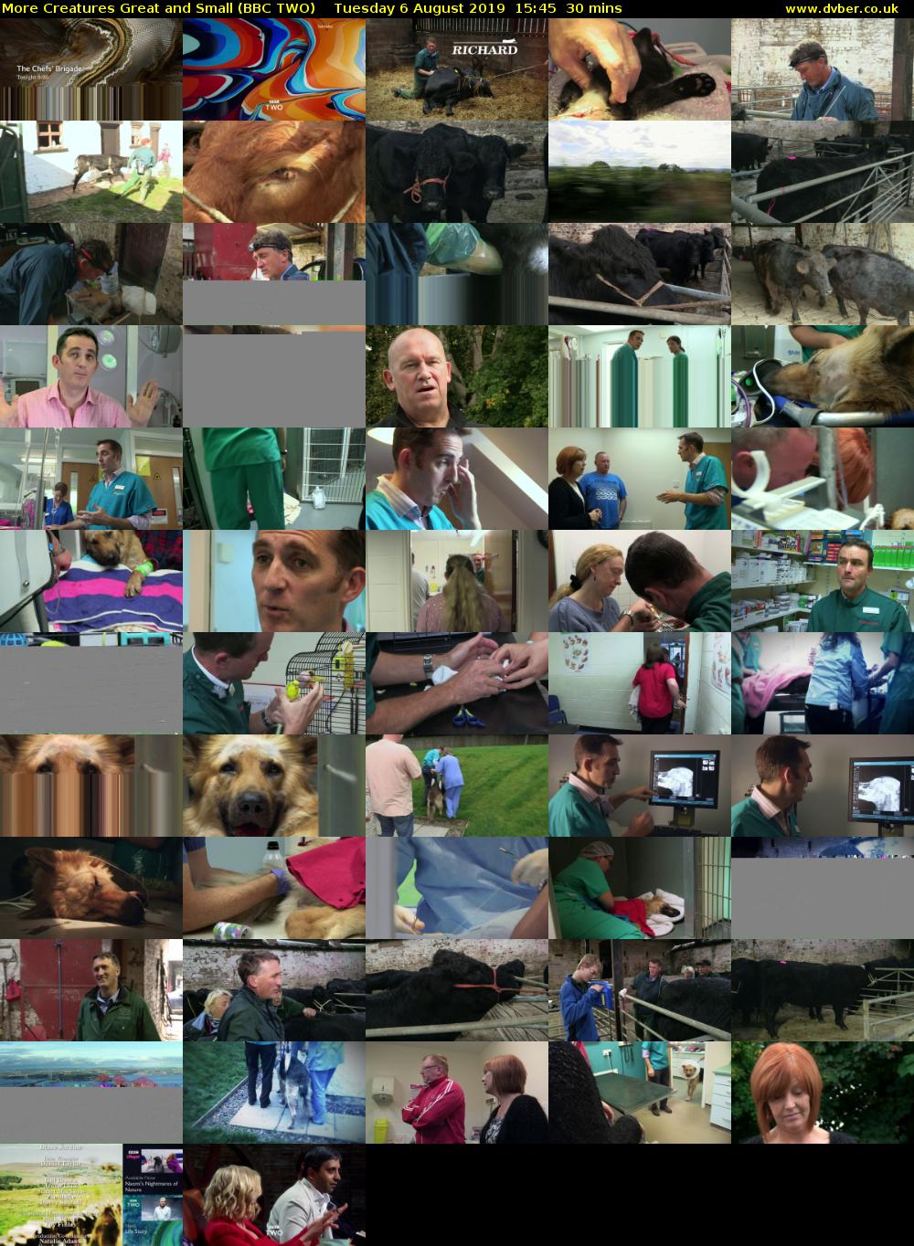 More Creatures Great and Small (BBC TWO) Tuesday 6 August 2019 15:45 - 16:15
