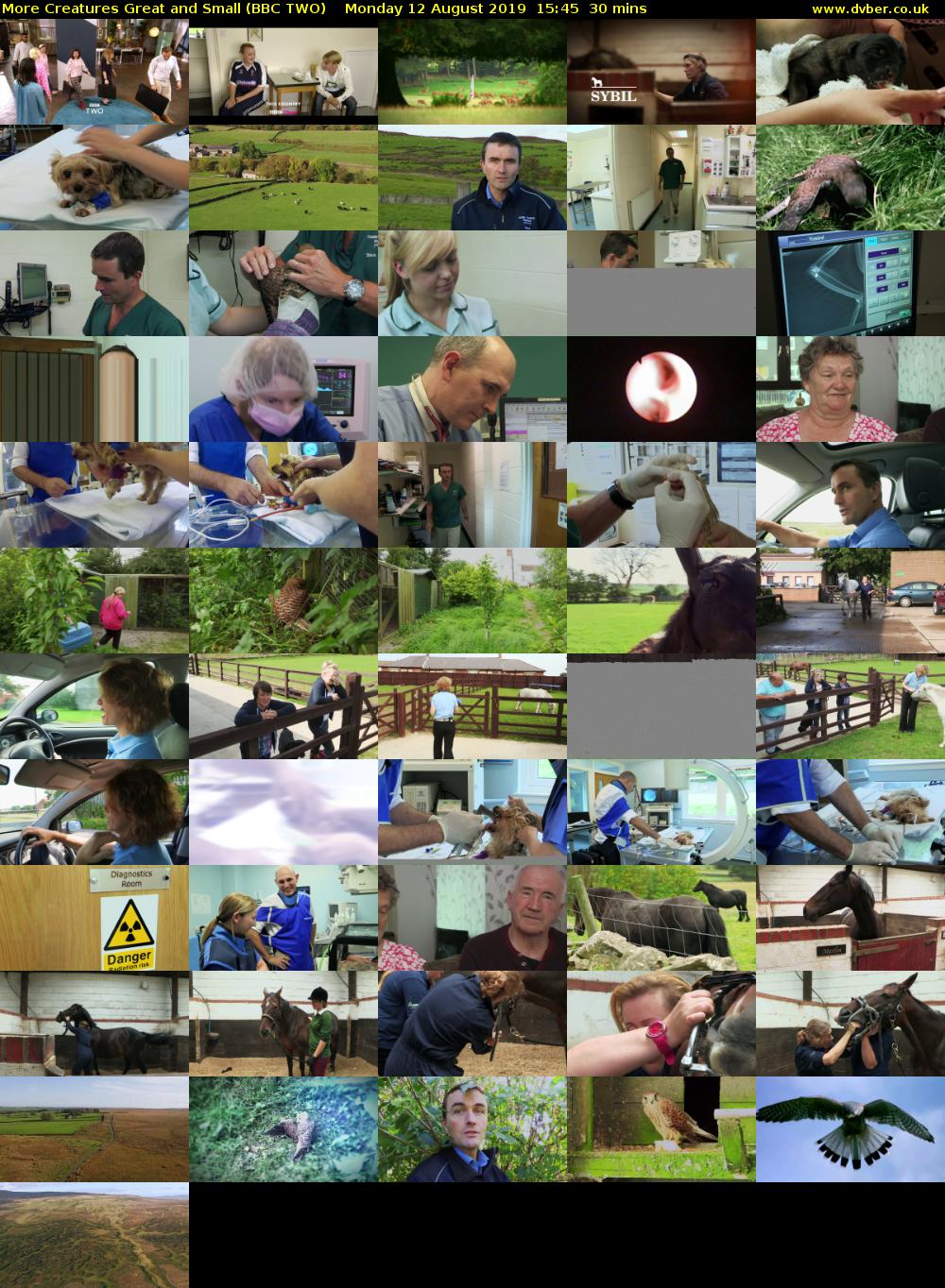 More Creatures Great and Small (BBC TWO) Monday 12 August 2019 15:45 - 16:15