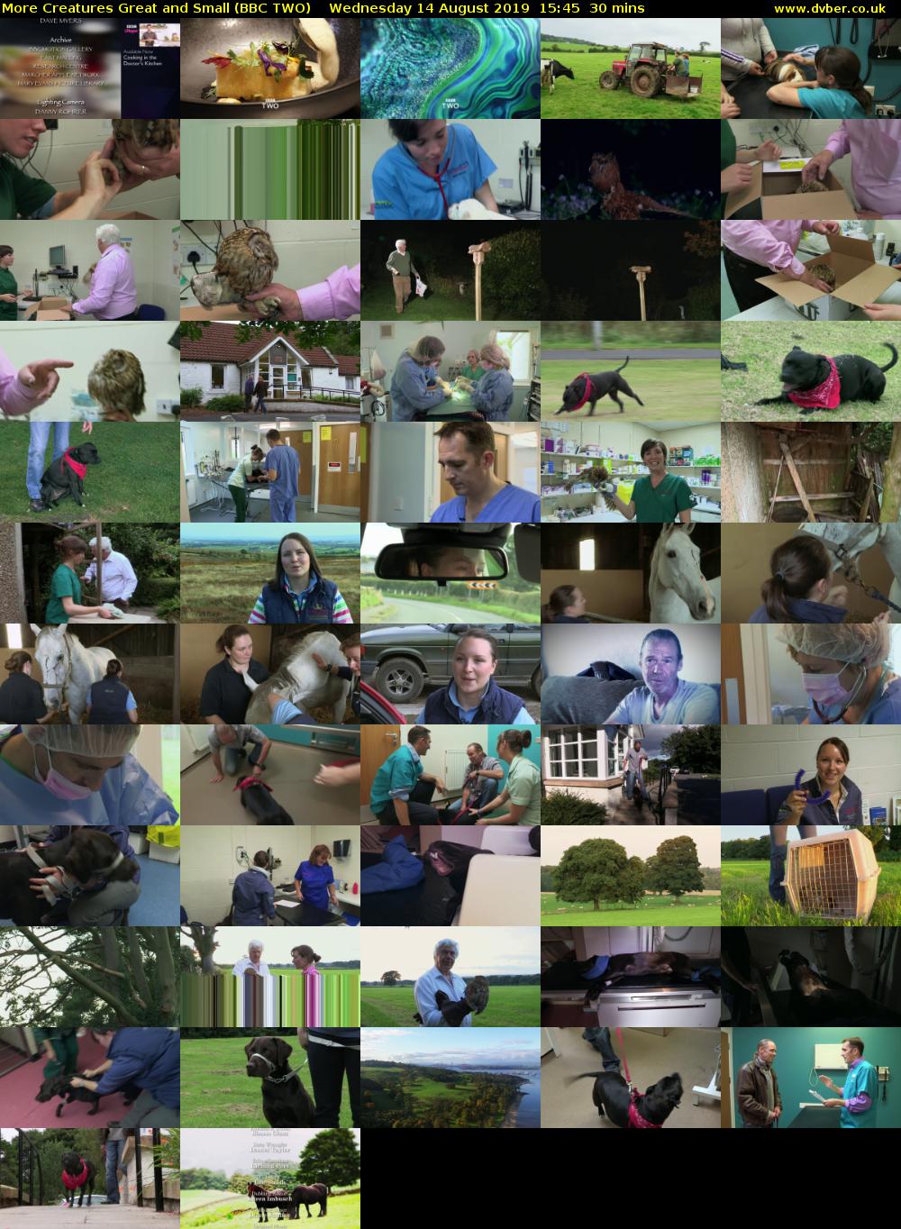 More Creatures Great and Small (BBC TWO) Wednesday 14 August 2019 15:45 - 16:15