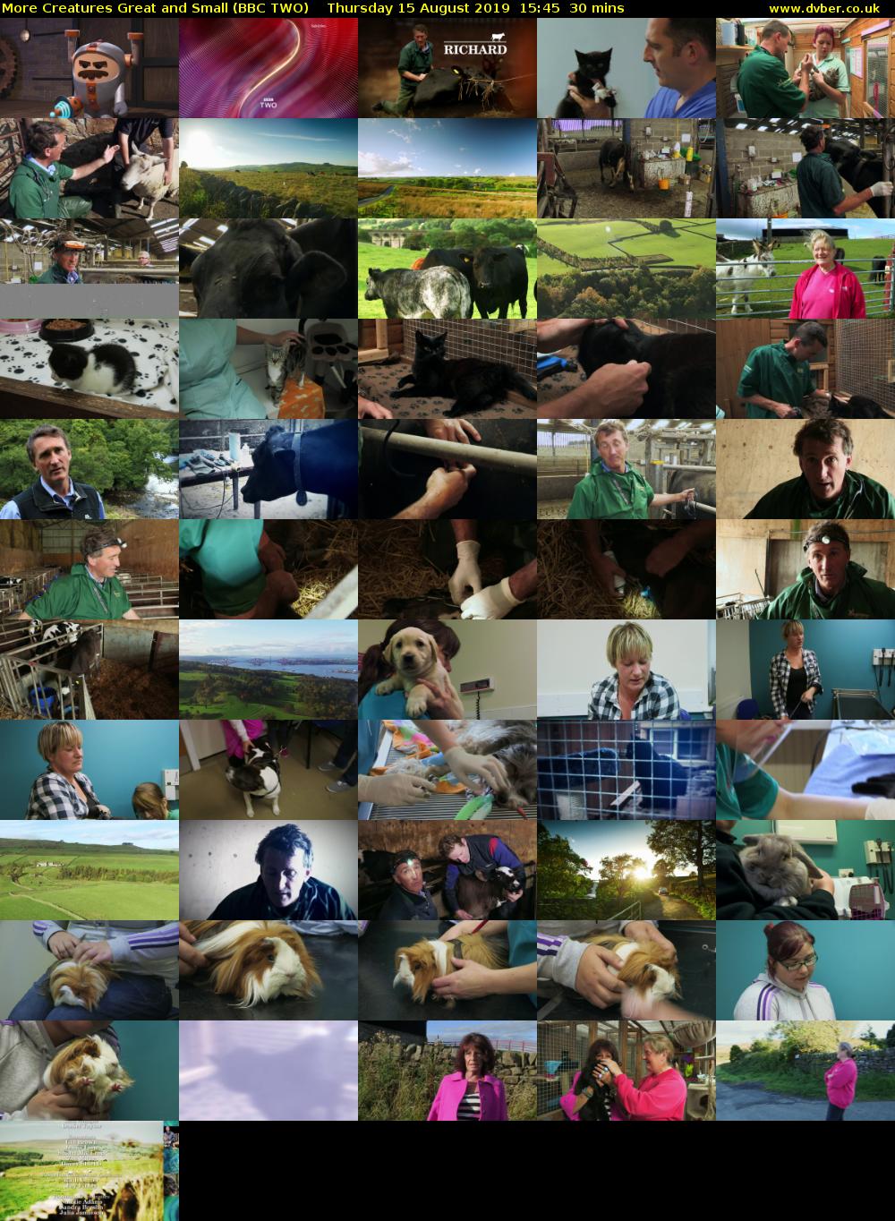 More Creatures Great and Small (BBC TWO) Thursday 15 August 2019 15:45 - 16:15