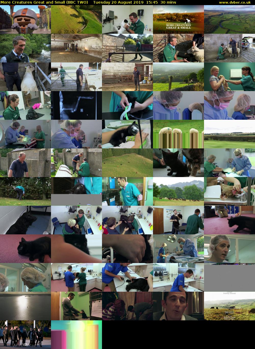 More Creatures Great and Small (BBC TWO) Tuesday 20 August 2019 15:45 - 16:15