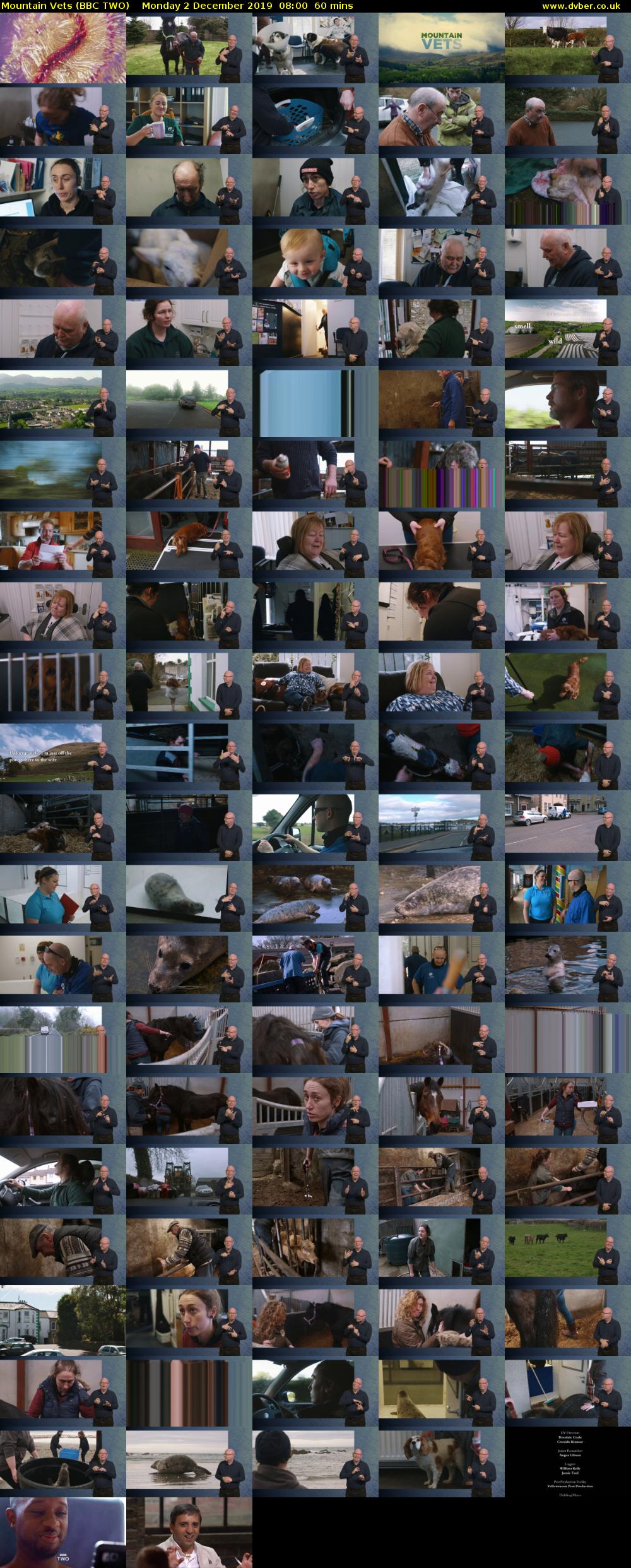 Mountain Vets (BBC TWO) Monday 2 December 2019 08:00 - 09:00